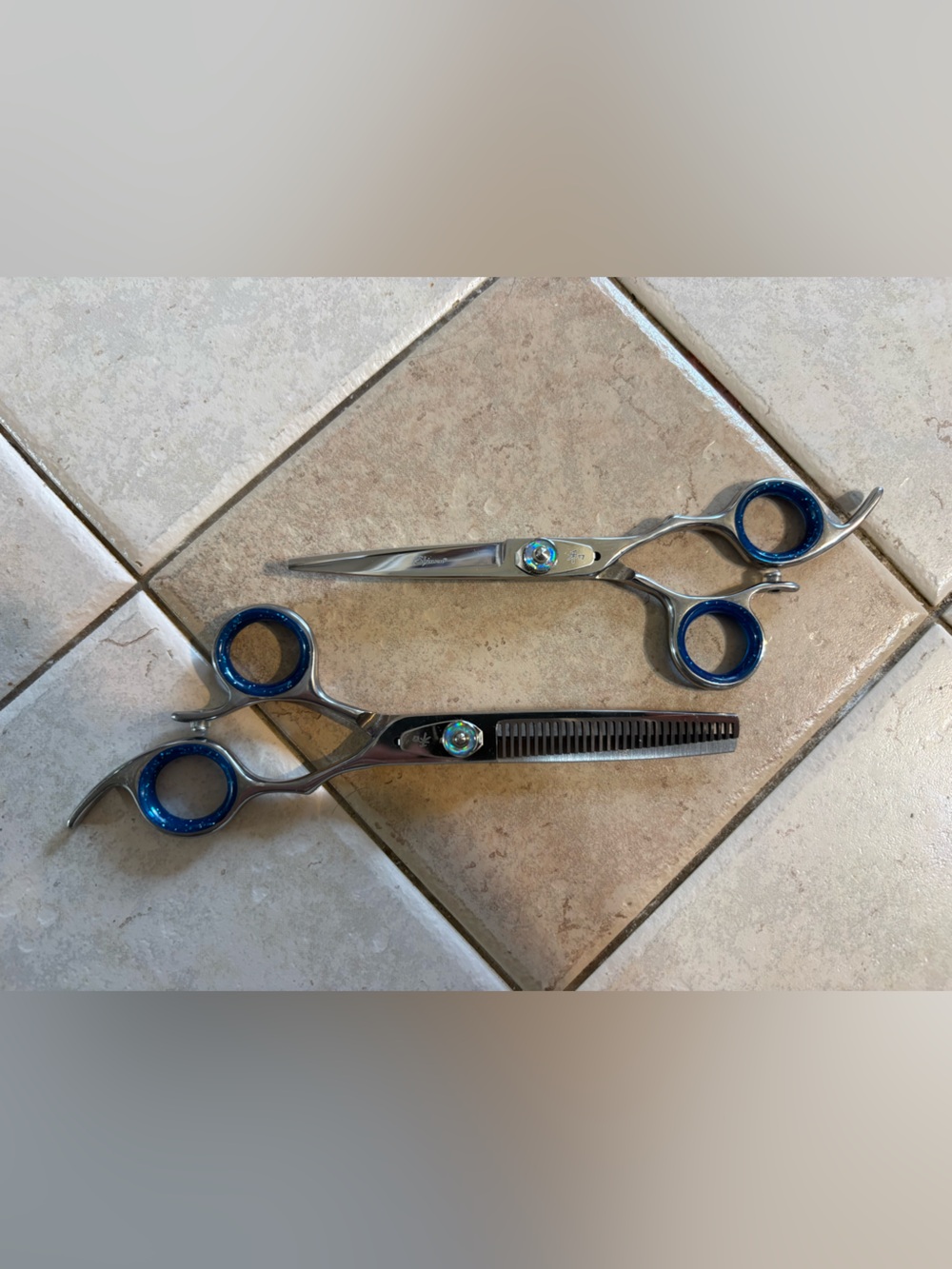 Professional Stainless Steel Hair Cutting and Thinning Shears - Blue Accents